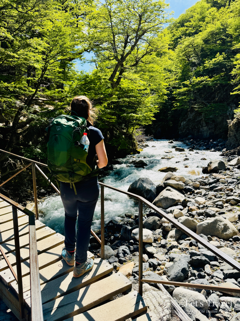 Hiker crossing wooden bridge over river in Torres del Paine National Park Chile Patagonia forest trail