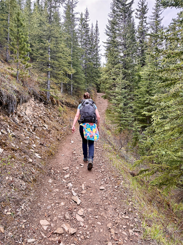 Hiker walking along the Sulphur Skyline Trail in Jasper National Park, Alberta, Canada.