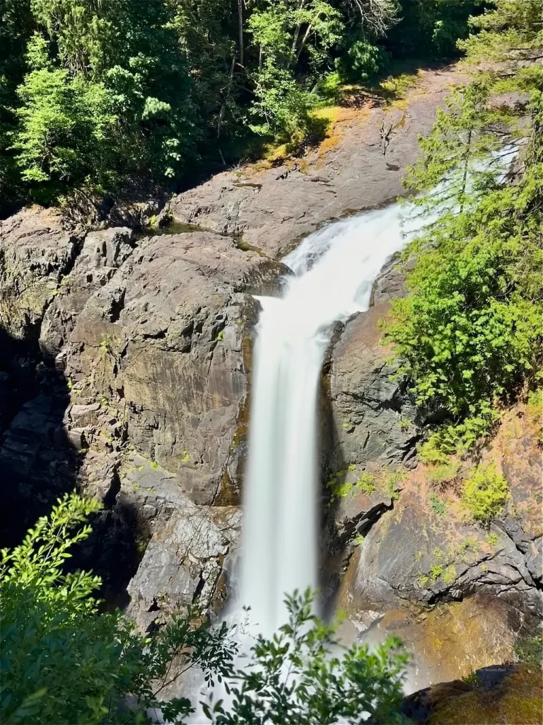 Elk Falls cascading over a rocky cliff surrounded by evergreen forest at Elk Falls Provincial Park near Campbell River, British Columbia.