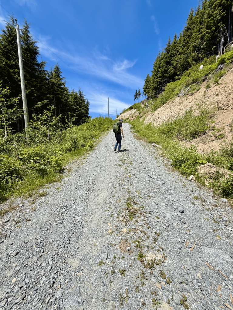 Hiker walking uphill on a wide gravel logging road surrounded by forest on the Mount Ozzard hike on Vancouver Island, British Columbia.