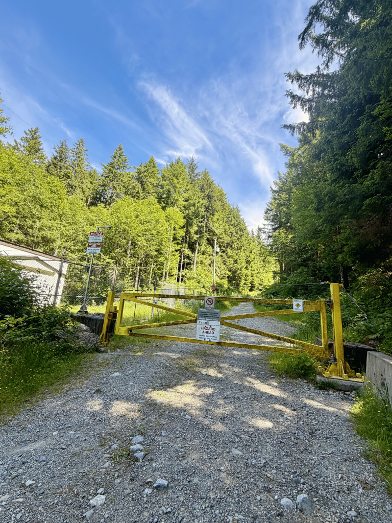 The beginning of the Mount Ozzard Hike route on Vancouver Island, with a wide gravel road leading uphill between evergreen forest and a rocky slope.